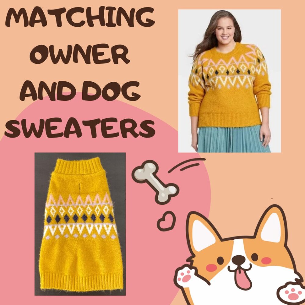 Matching Owner and Dog Sweaters a new day Womens Size XXL Dog Size Medium